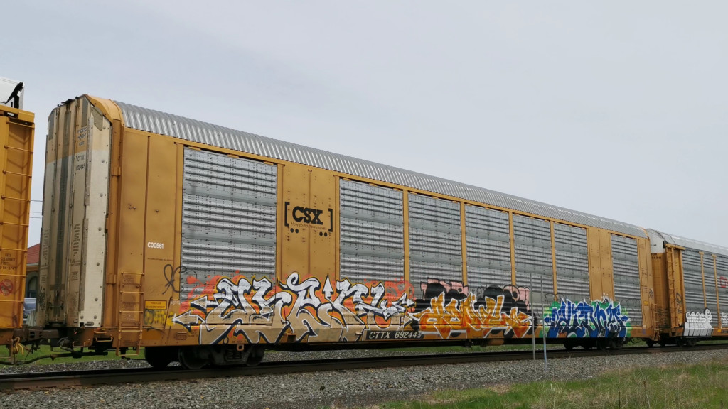 CSX C00561 (Body) CTTX 692445 (Flat)